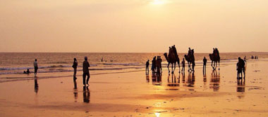Gujarat Desert Beach Tour