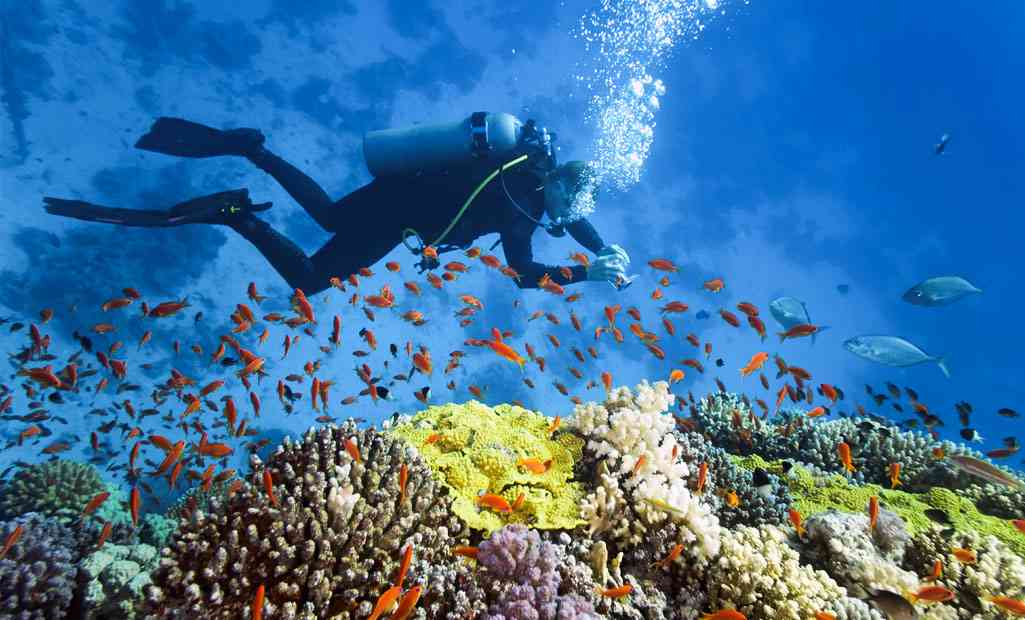 Exploring the underwater world in Mauritius