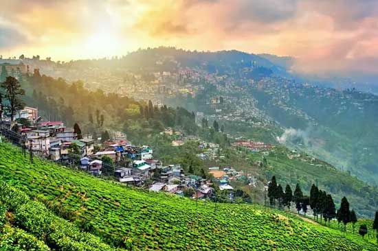 Darjeeling Hills
