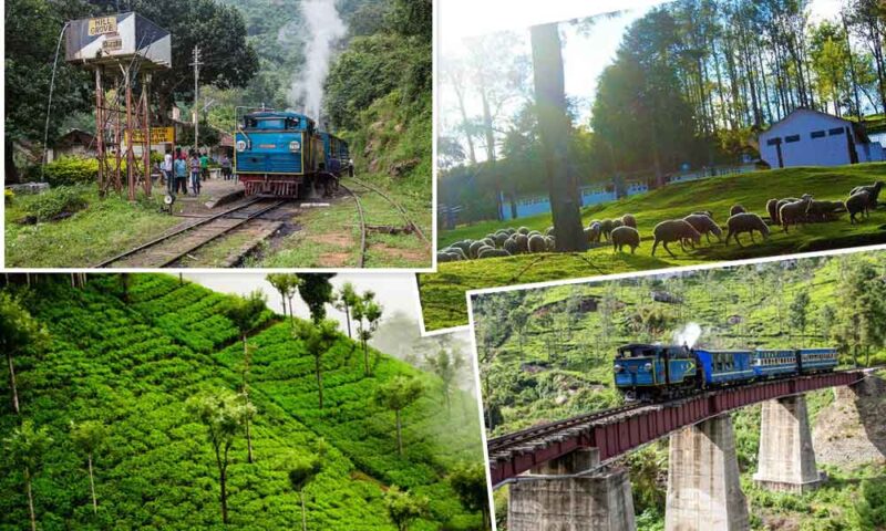 Coonoor