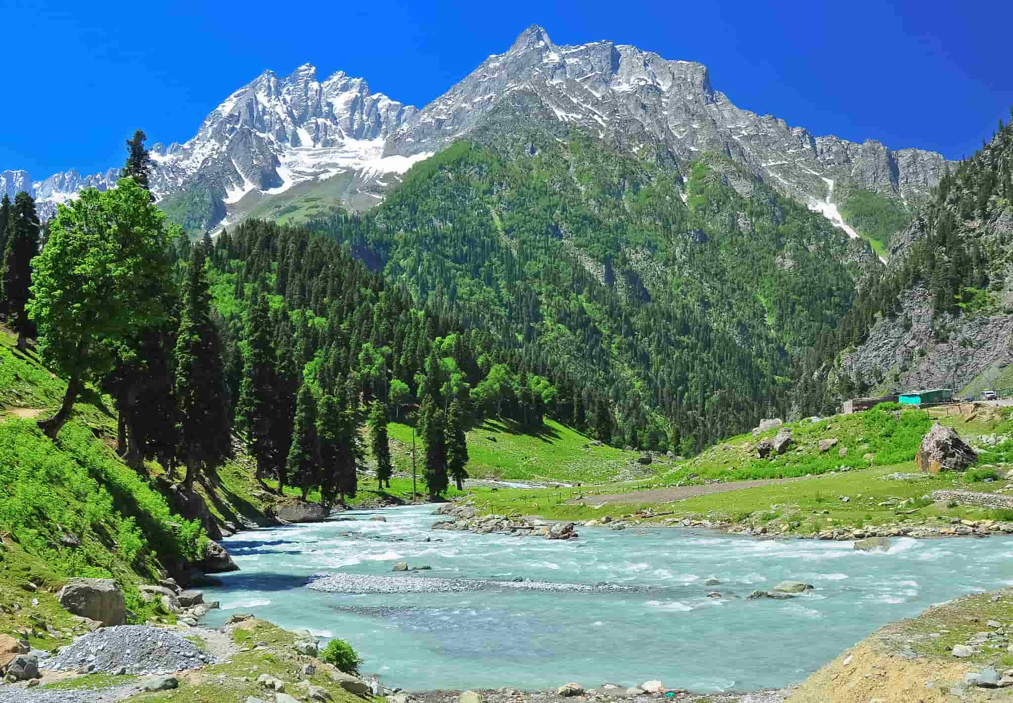 travel to kashmir now