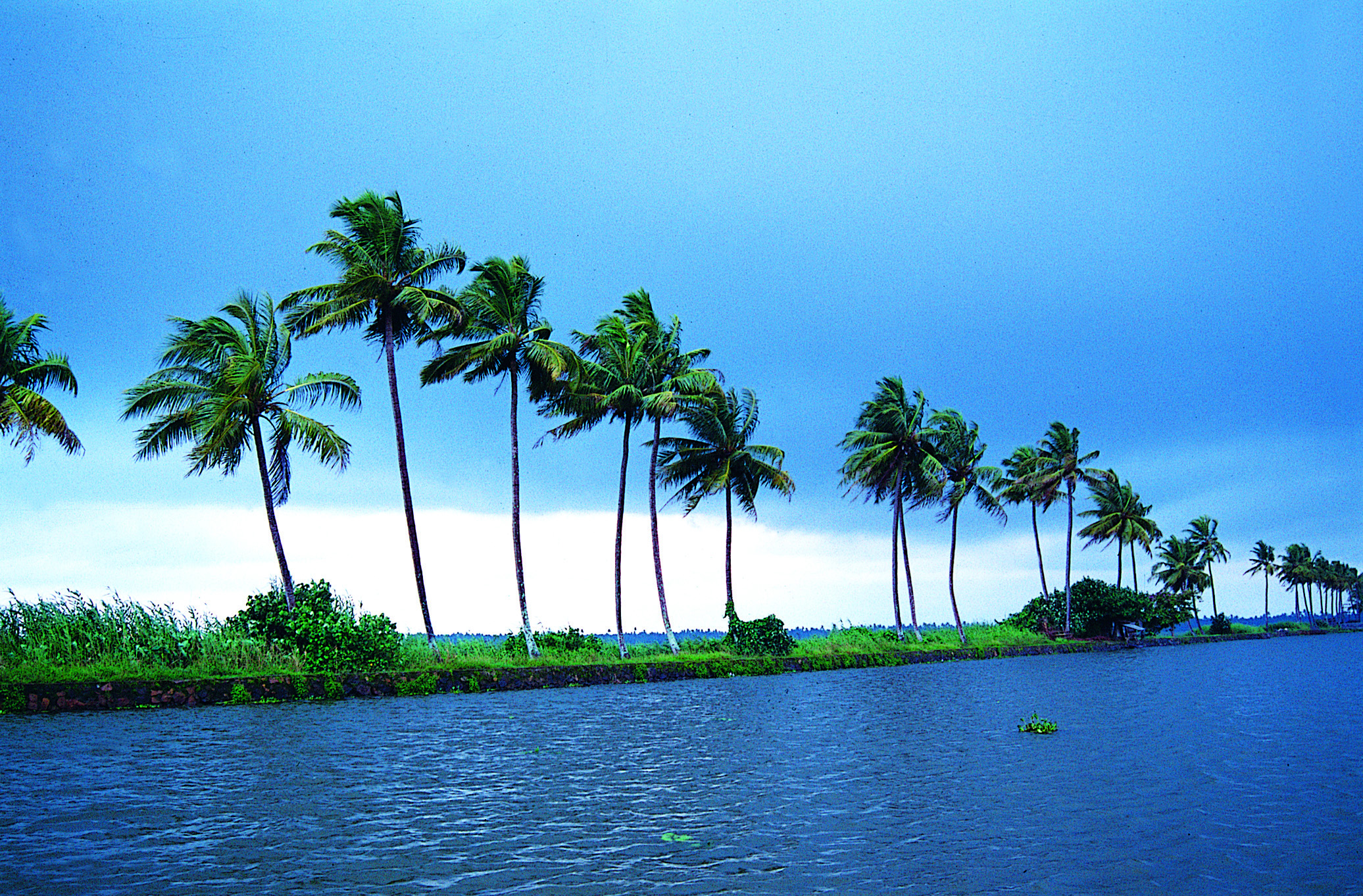 Kumarakom-Backwaters