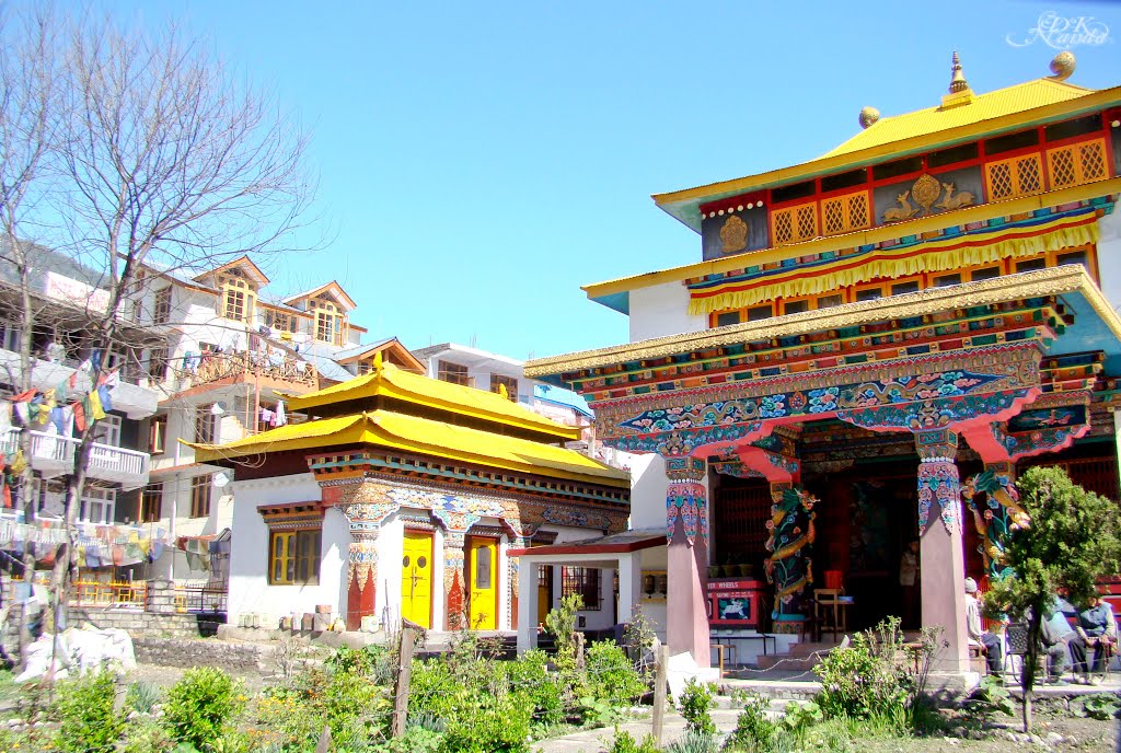 Tibetan Monastery - Manali
