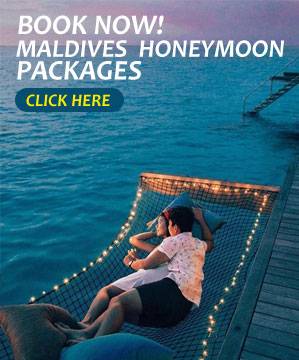 maldives Honeymoon