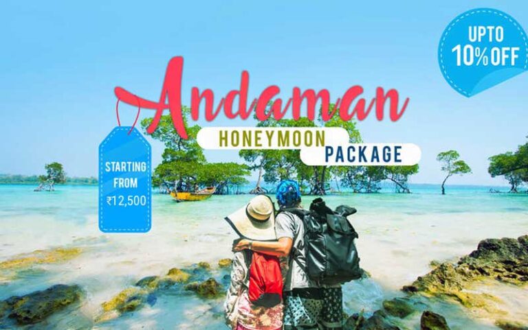 andaman family tour packages from chennai