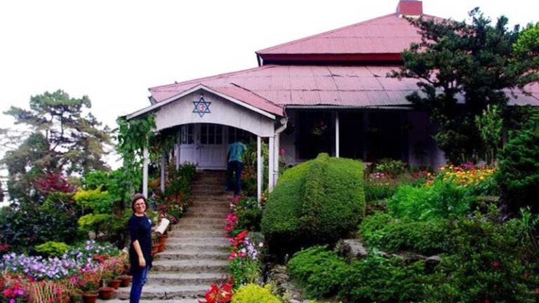 Top 10 Tea Estate Resorts in Darjeeling - Honeymoon Bug