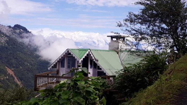 Top 10 Tea Estate Resorts in Darjeeling - Honeymoon Bug