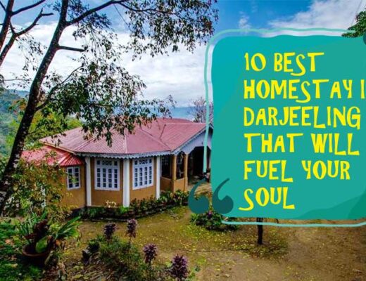 17 Best Homestay in Darjeeling That will Fuel Your Soul