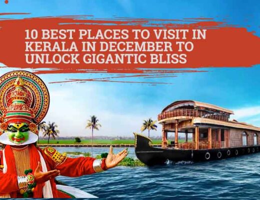 10 Best Places to Visit in Kerala in December to Unlock Gigantic Bliss