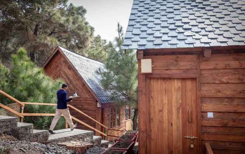 Suro Treehouse Resort