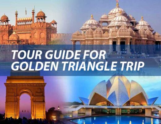 Tour Guide for Golden Triangle Trip