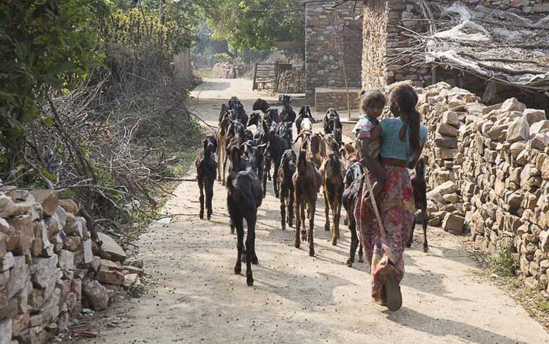 Bijaipur Village