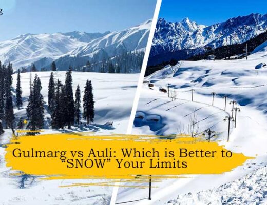 Gulmarg vs Auli: Which is Better to “SNOW” Your Limits