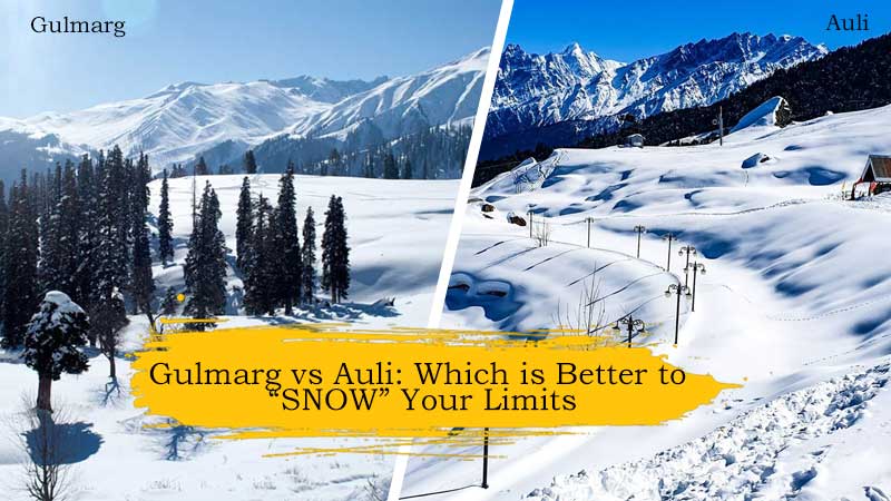 Gulmarg-vs-Auli-Which-is-Better-to-SNOW-Your-Limits