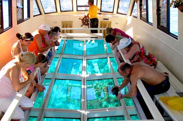 Glass Bottom Boating andaman