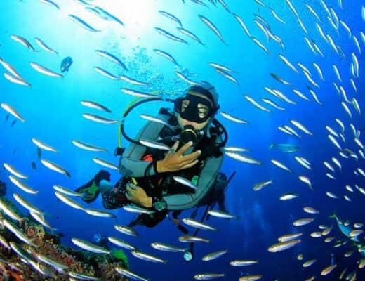 9 Best Places for Scuba Diving in Goa
