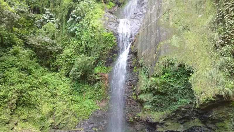Chadwick Waterfall