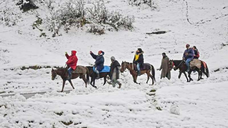 Pony Riding in Aru Valley
