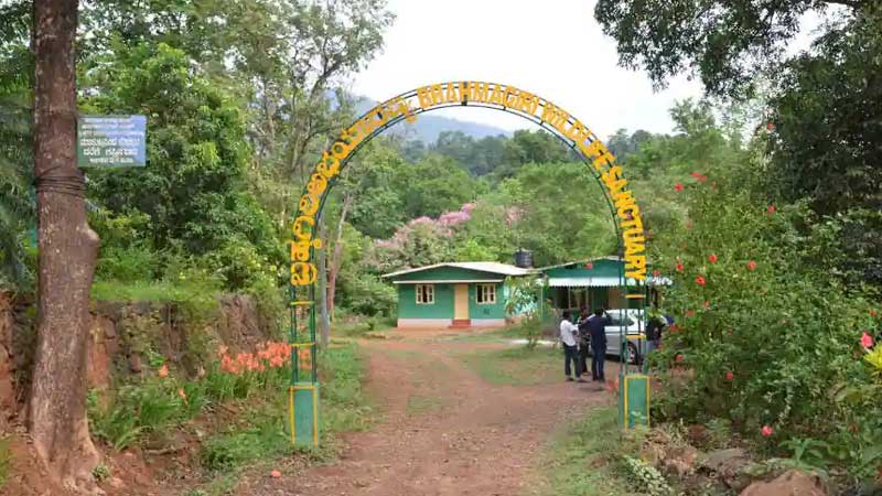 Brahmagiri Wildlife Sanctuary