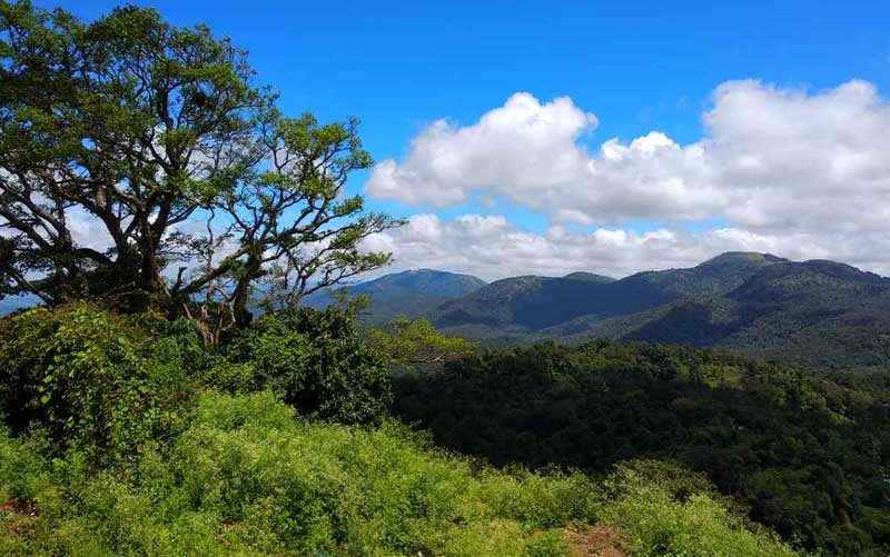 br hills karnataka