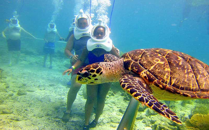 underwater walking in andaman