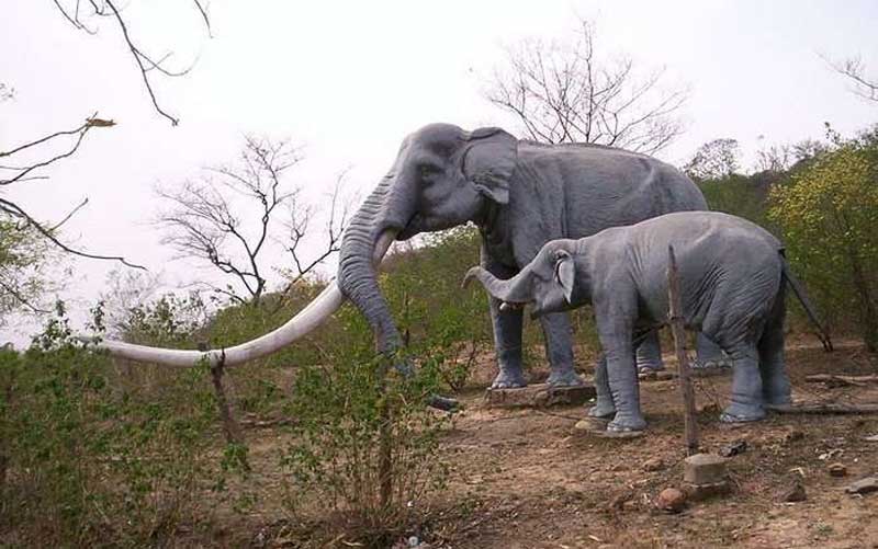 Suketi Fossil Park in Himachal Pradesh