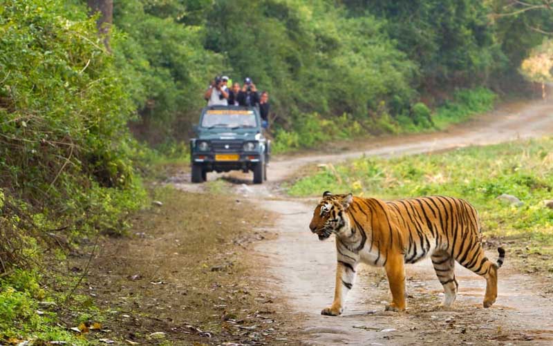 corbett national park uttarakhand