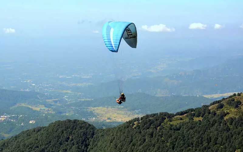 palampur paragliding
