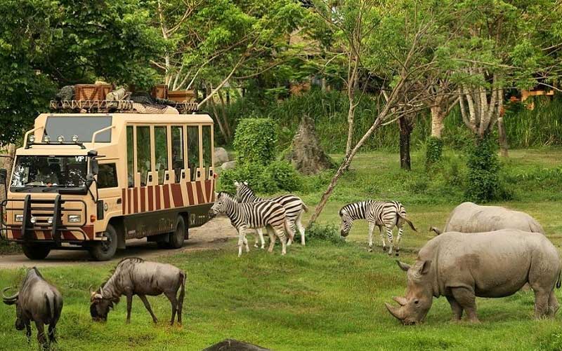 Bangkok Safari World
