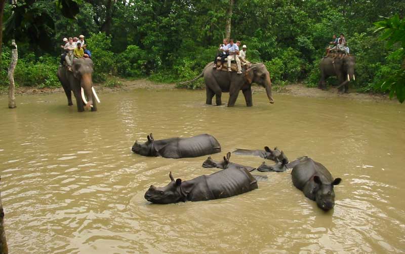 Chitwan National Park