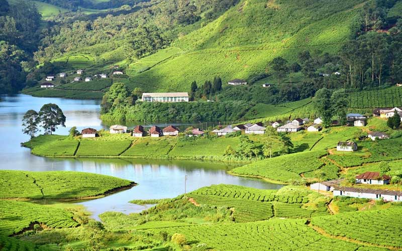 Munnar in Kerala