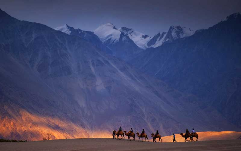 Nubra Valley in Ladakh