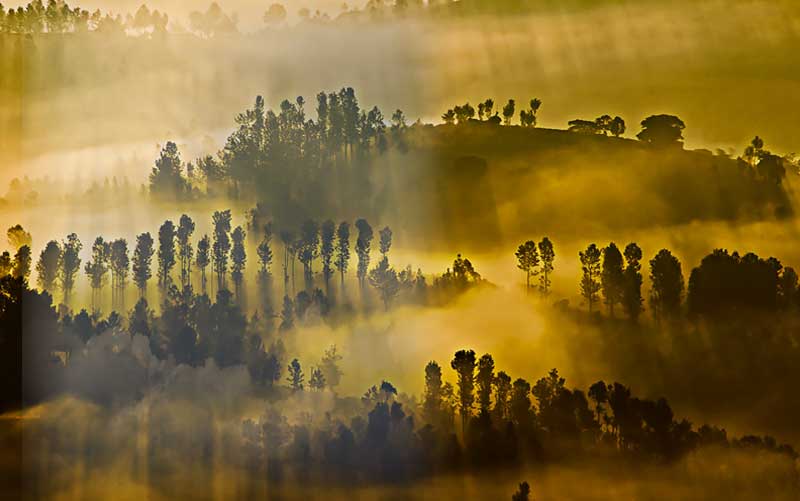 Sunrise at Ketti Valley Viewpoint