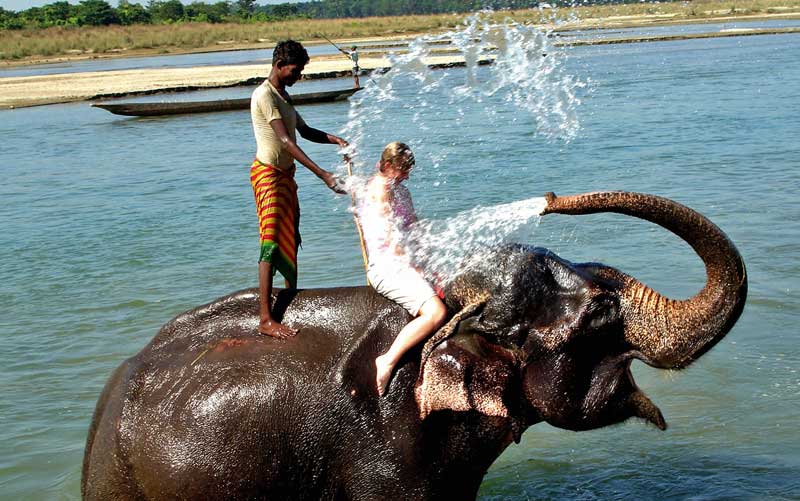 Wash An Elephant