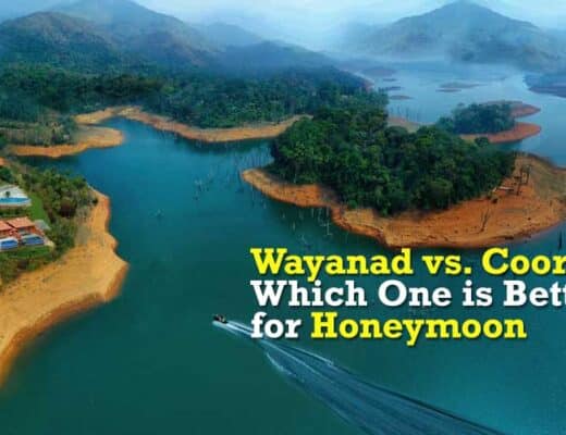 Wayanad vs. Coorg: Which One is Better for Honeymoon in 2024