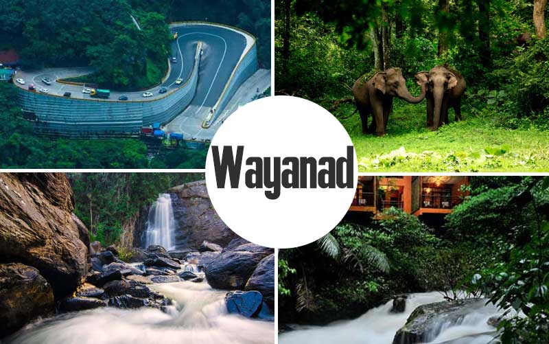 Wayanad