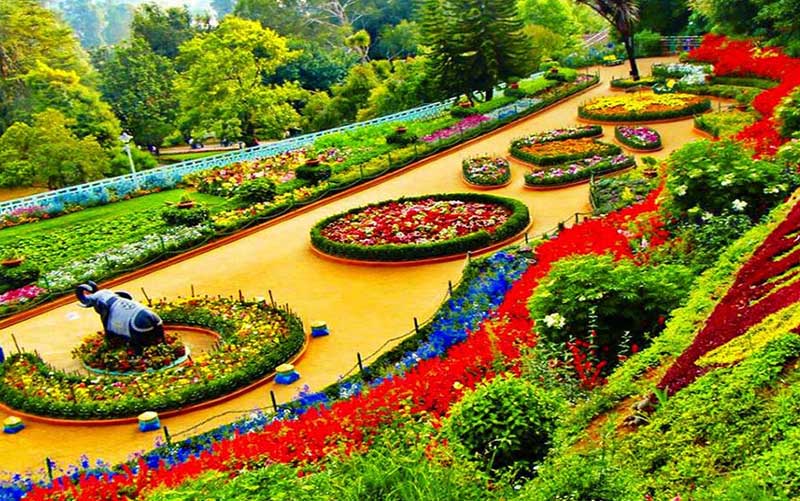 Romantic stroll at Government Rose Garden