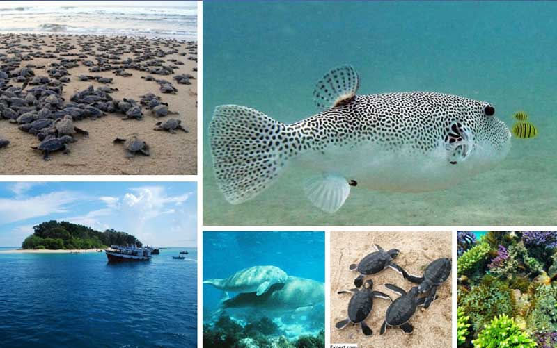 9-best-places-to-visit-in-gujarat-in-may-honeymoon-bug