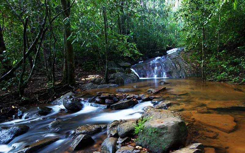 Sinharaja Forest Reserve