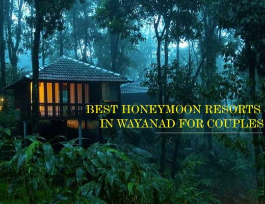 24 Best Honeymoon Resorts in Wayanad for Couples for Romantic Indulgences in the Western Ghats