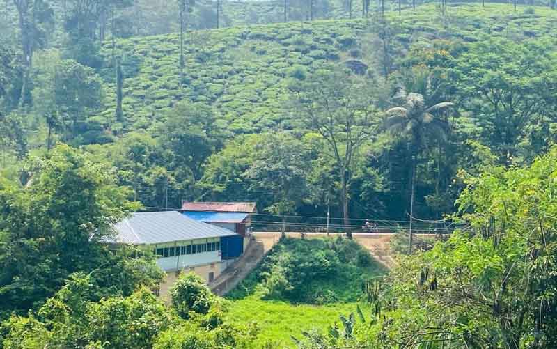 Tea Garden Holiday Home