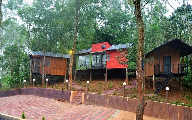 Jungle Beats Resorts