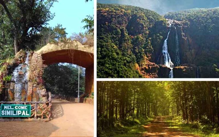 8 Best Honeymoon Places in Odisha: Check Out the List Here - Honeymoon Bug