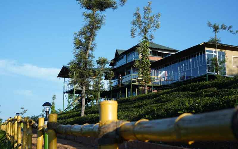 Tea Forest Resort
