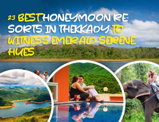 23 Best Honeymoon Resorts in Thekkady to Witness Emerald Serene Hues