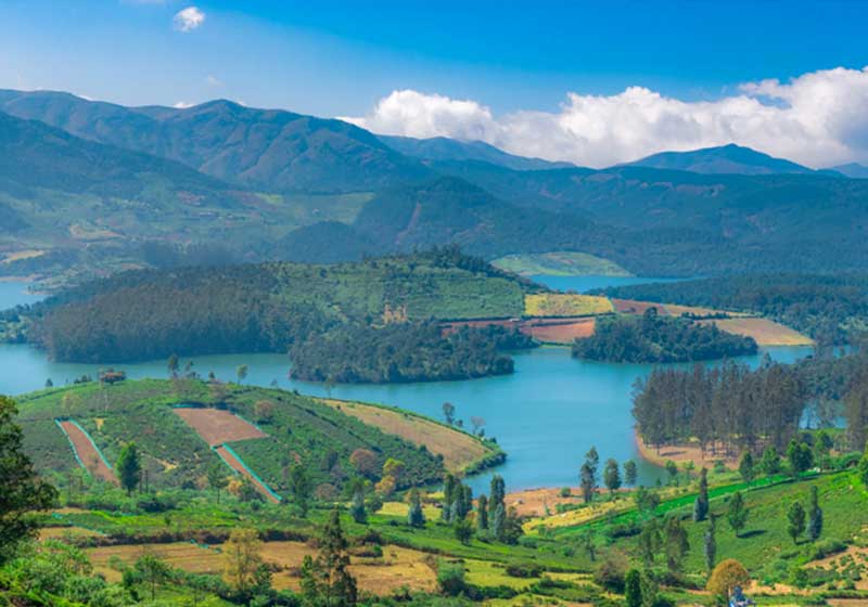 Emerald Lake in Ooty