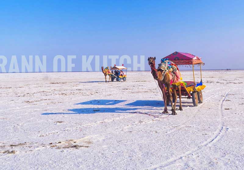 Rann of Kutch