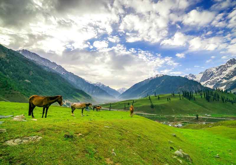 Sonmarg