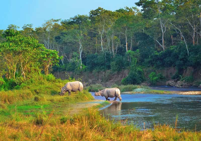 Chitwan National Park