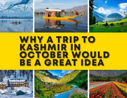 Why a Trip to Kashmir in October 2024 Would be a Great Idea